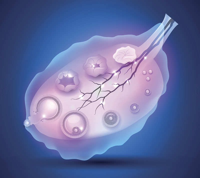 广州三代试管三甲医院有哪些？广州做第三代试管哪个医院好？